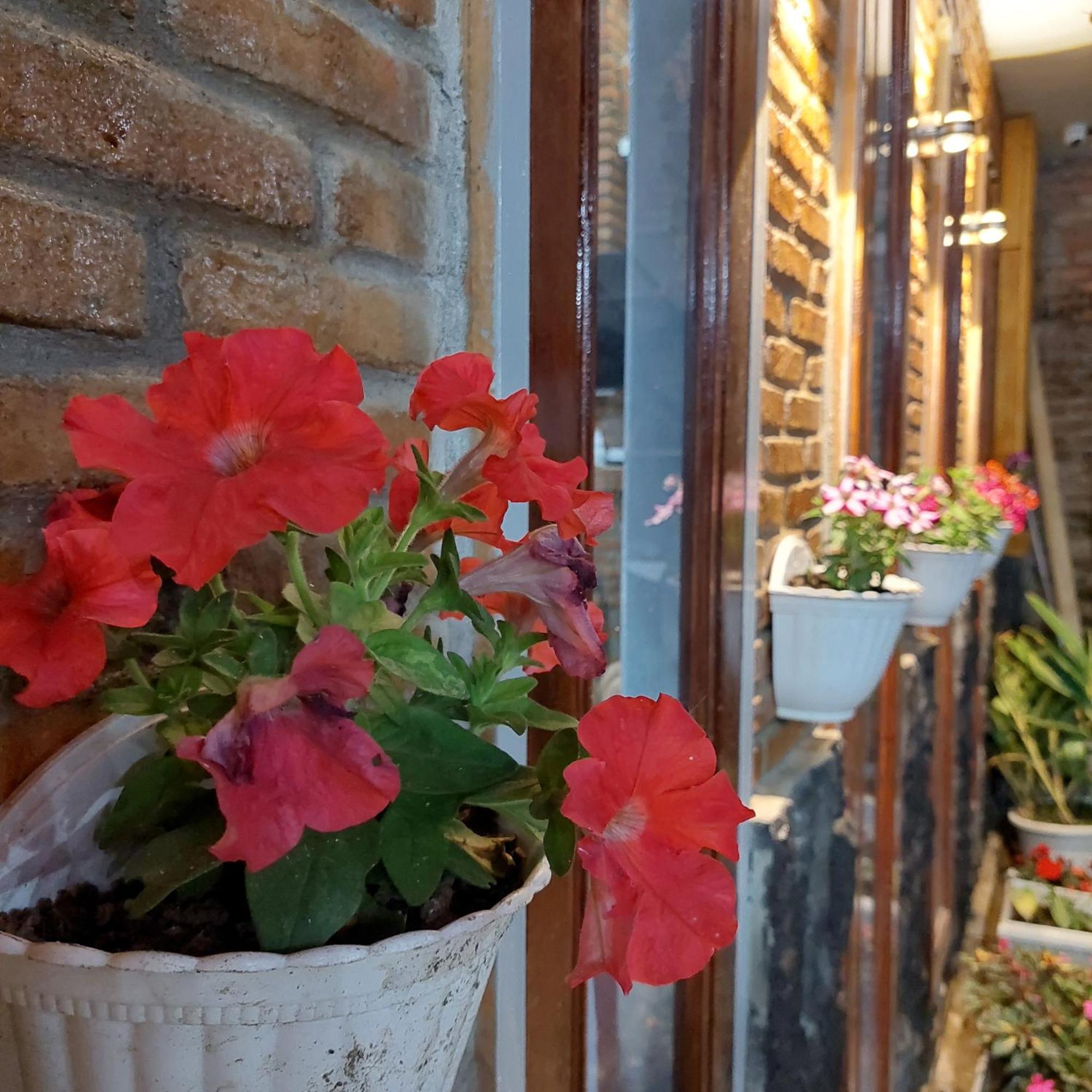 Sapo Rumbia Berastagi Pokój zdjęcie